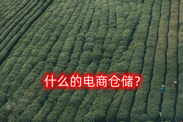 什么是電商倉(cāng)儲(chǔ)？